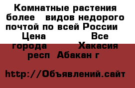 Комнатные растения более200видов недорого почтой по всей России › Цена ­ 100-500 - Все города  »    . Хакасия респ.,Абакан г.